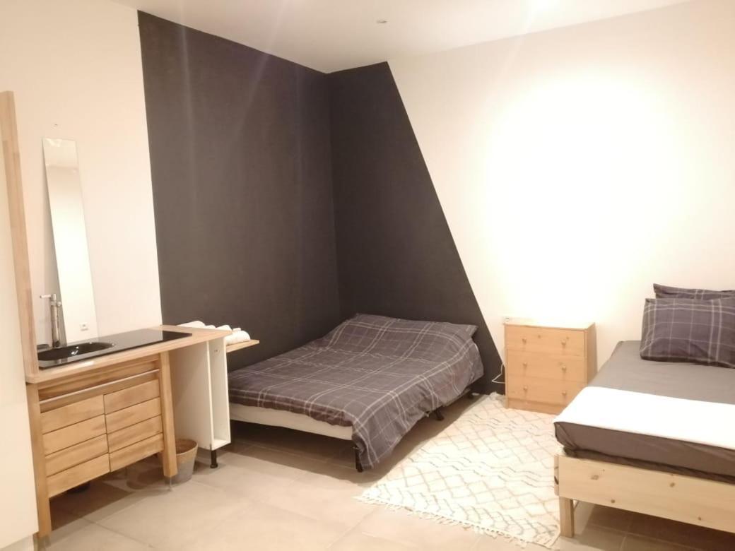 Loft Viarhona, Grand Loft En Centre-Ville Лион Экстерьер фото